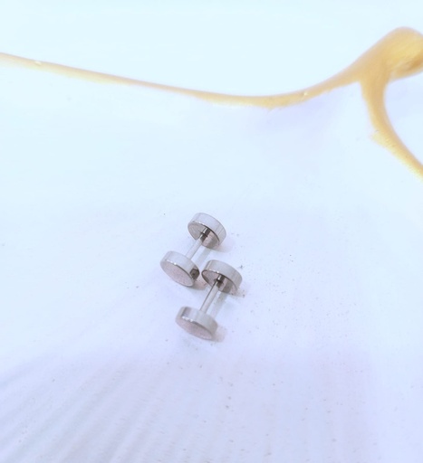 [MIRSTREEL-000021] Par de aretes de acero plateados con circulo giratorio